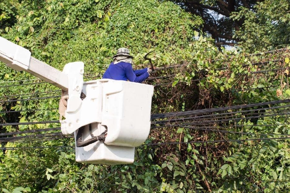 ECG vegetation control exercise clearing trees near power lines in Ashanti Region