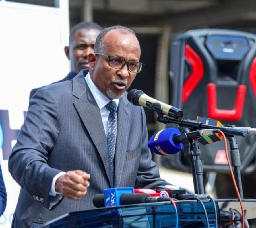 Duale-2-768x528