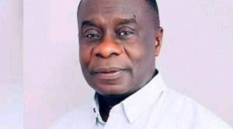 Africa unity integration Gyakye Quayson - Deputy Foreign Minister at 63rd AU Day celebration
