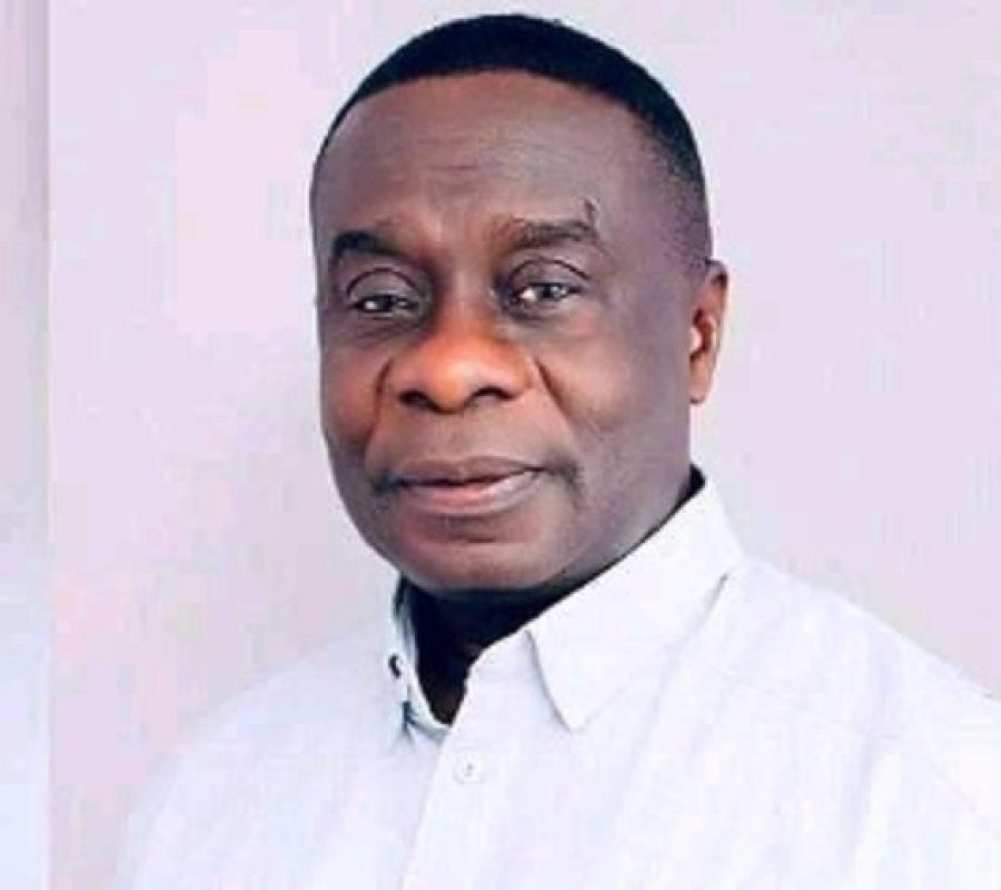 Africa unity integration Gyakye Quayson - Deputy Foreign Minister at 63rd AU Day celebration