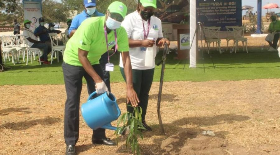Science-Tree-planting-VRA