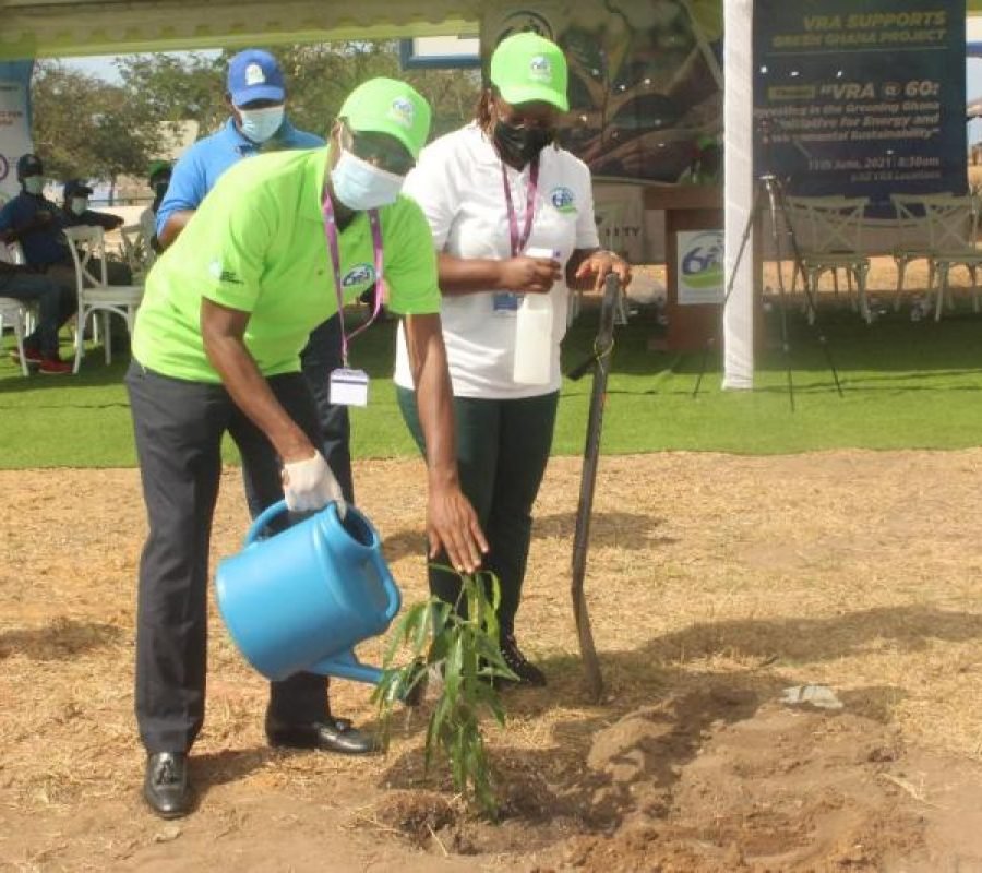 Science-Tree-planting-VRA