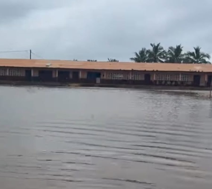 Social-Flood-Havedzi