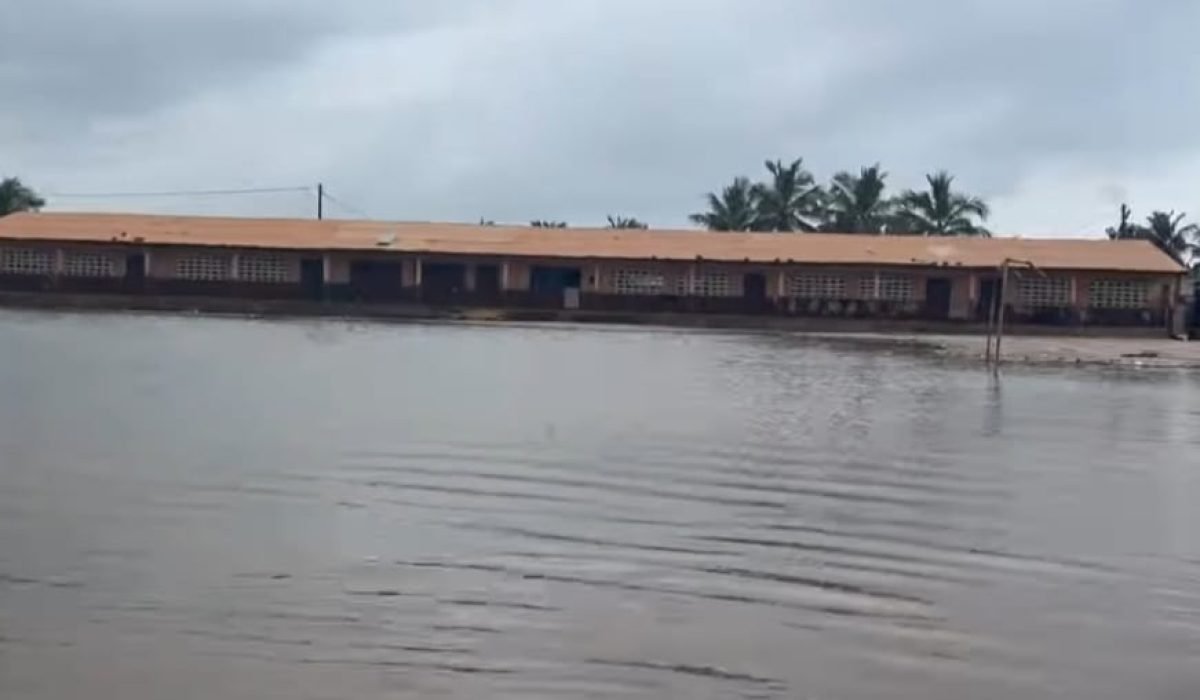 Social-Flood-Havedzi