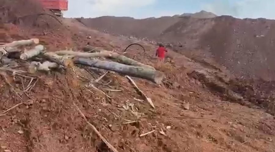 Illegal miners take over licensed mining concession at Wassa Dadieso in Western Region Ghana