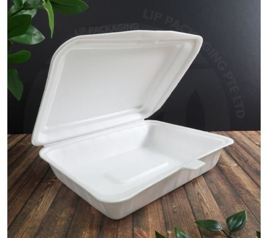 EPA announces ban on styrofoam products in Ghana effective January 2027