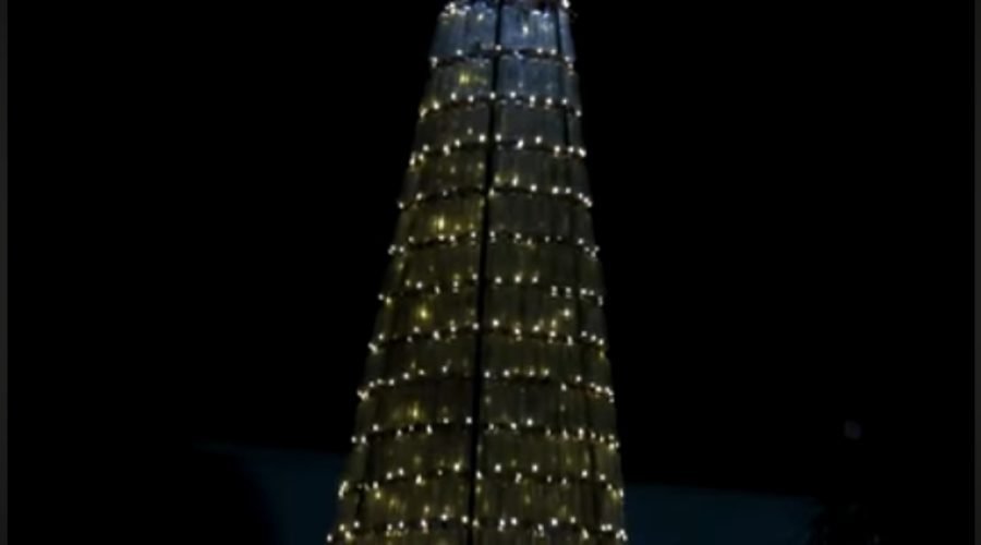 Ghanaian Environmentalist Creates Plastic Waste Christmas Tree to Highlight Pollution
