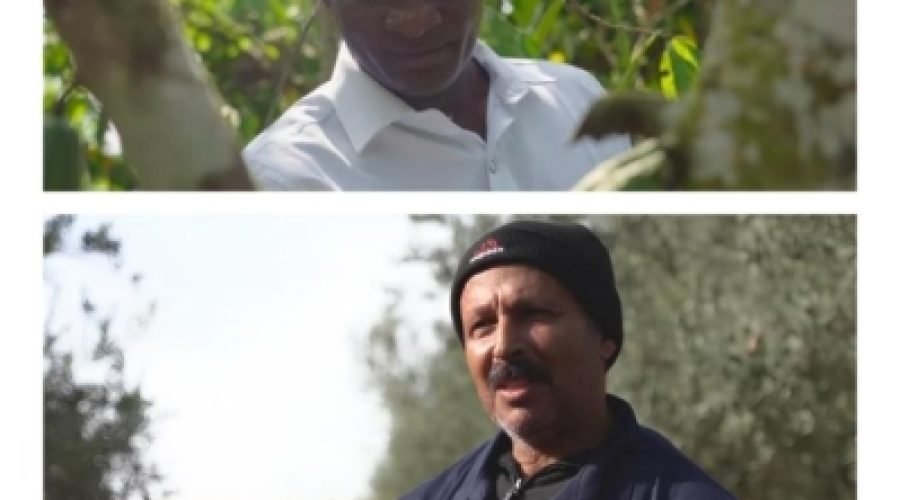 Climate Financing Boosts African Business Growth