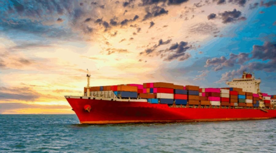 Exploring Earth’s Ecosystems from Soil to Sea and Space