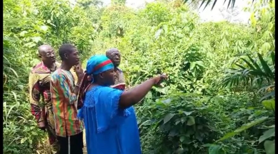 Akyem Akroso Protests Royal Cemetery Sale for Supermarket