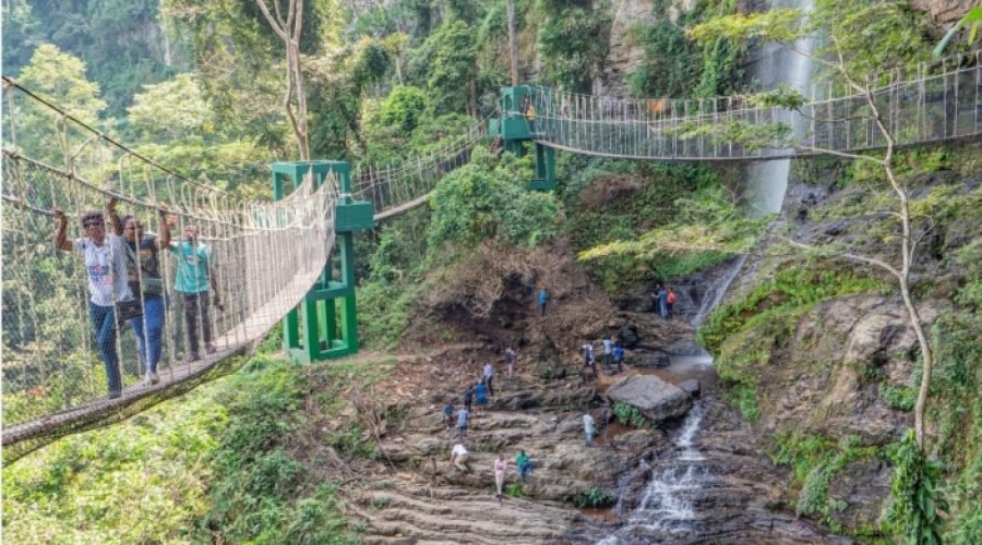 Amedzofe Canopy Walkway Closed After Structural Incident