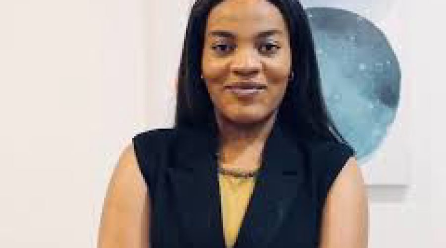 Dr Ekua Amoakoh Criticizes Mahama Govt Policy Commitment