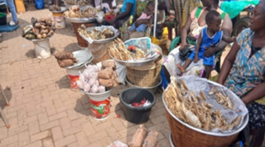 Ghana's Unsung Heroes Fuel Food Security