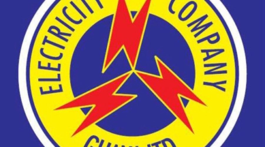 ECG Revenue Gains Hide Leadership, Governance Crisis