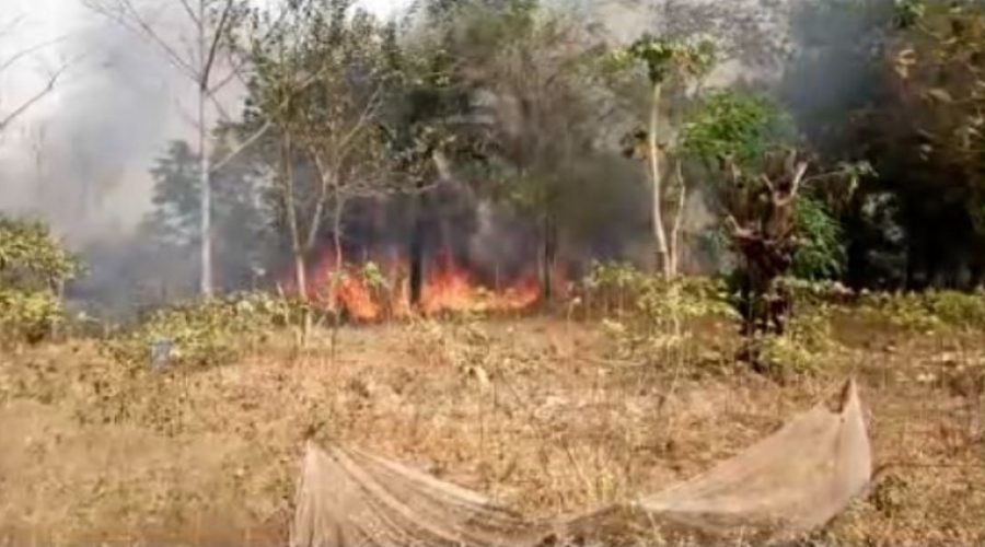 Northern Region Hunters Blamed for Kula Farmland Fires