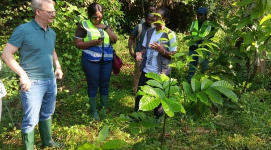 Ghana Cocoa Communities Fight Galamsey to Protect Livelihoods