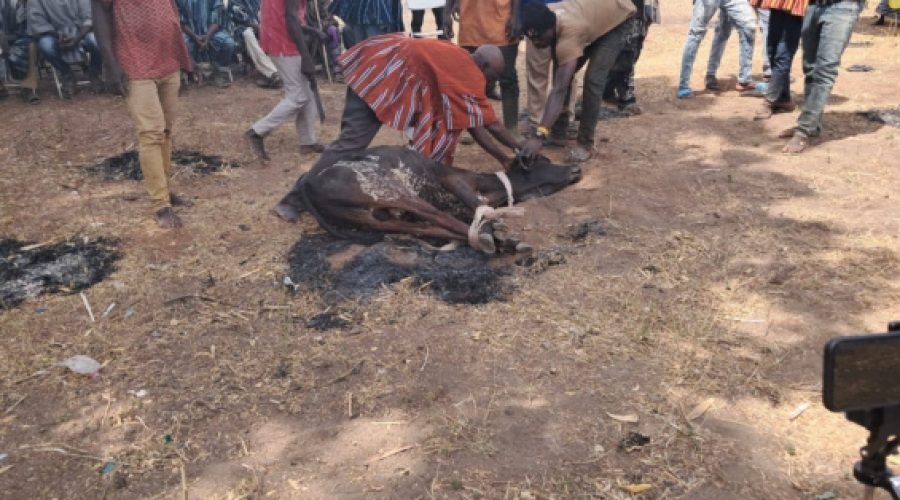 Gbeniyiri Curses Violence After Purification Rites