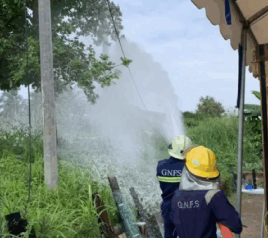 Ghana Education Service and NADMO Act to Prevent Future Bee Attacks After Anloga School Incident