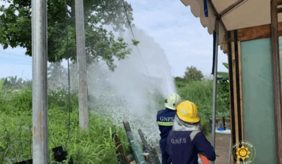 Ghana Education Service and NADMO Act to Prevent Future Bee Attacks After Anloga School Incident