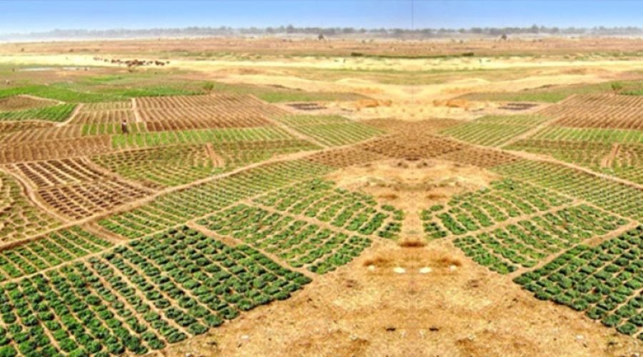 Ghana Land Registration Challenges from Multiple Systems