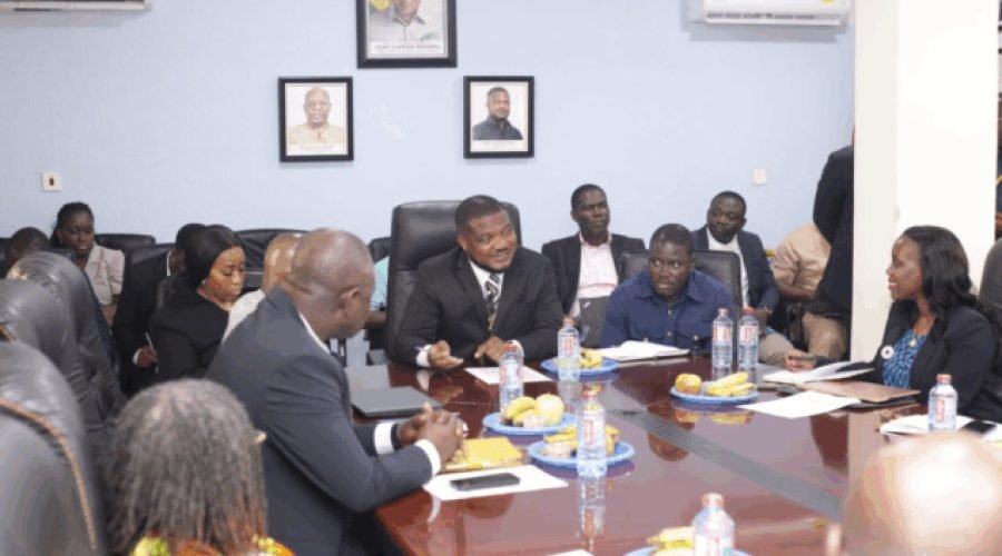 Minerals Commission Meets Tanzanian Officials on Mining Regulations