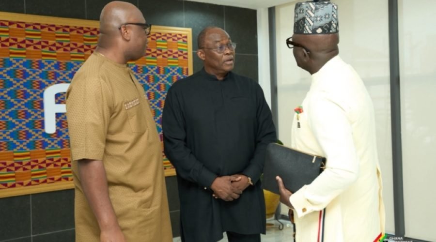 GIPC CEO Urges Special Envoys to Boost Foreign Investment in Ghana
