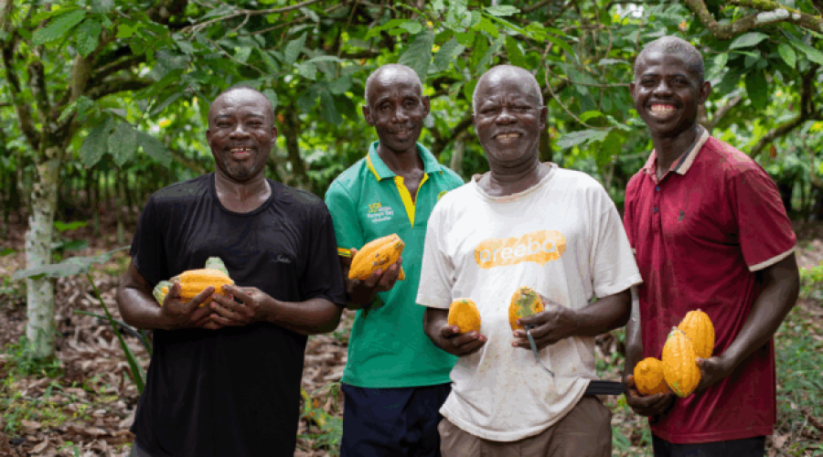 Gold Fields Ghana Empowers Local Communities