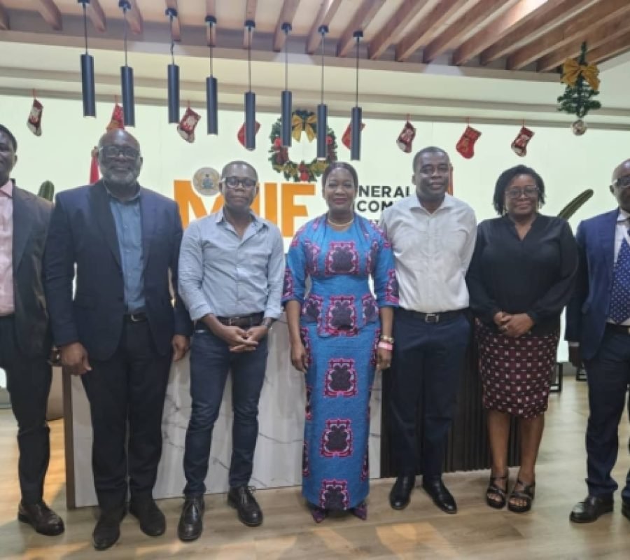 Gold Fields and MIIF Discuss Potential Investment Partnerships