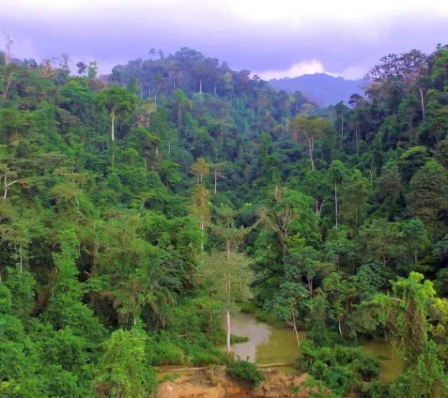 Lands Ministry Welcomes Revocation of L.I. 2462