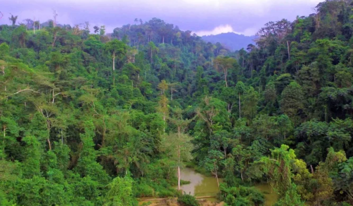 Lands Ministry Welcomes Revocation of L.I. 2462