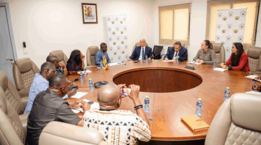 Hungary-Egypt Diplomats Propose €200k Medical Investment