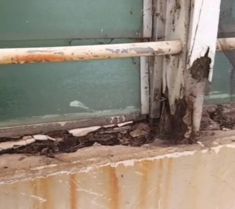 image-2239-1024x576