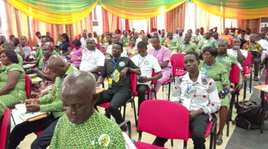 Galamsey Menace Imperils Ghana's Cocoa Production