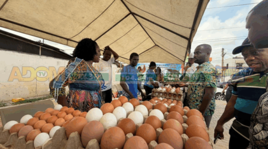 Poultry Farmers Offer Eggs at Lower Prices for Christmas