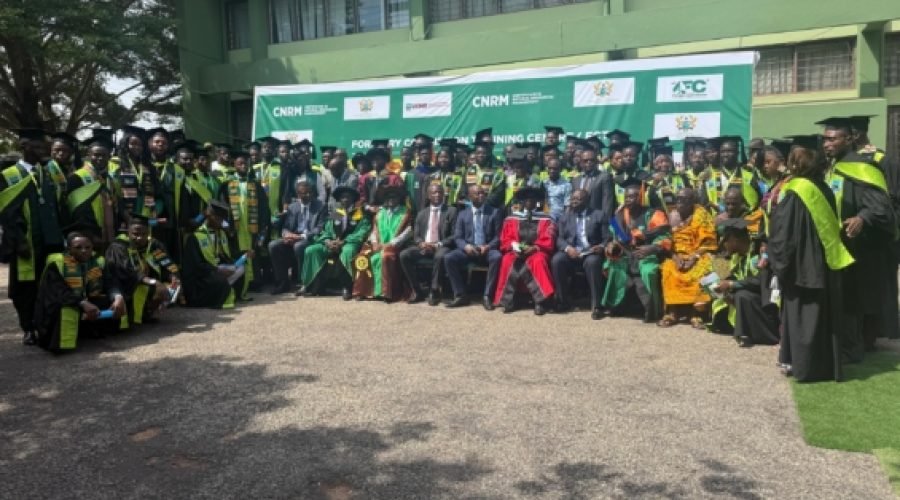 Lands Ministry Reports Progress in Forest Restoration Efforts