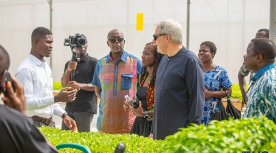 MTN and Partners Launch Vegetable Hub for Youth Training