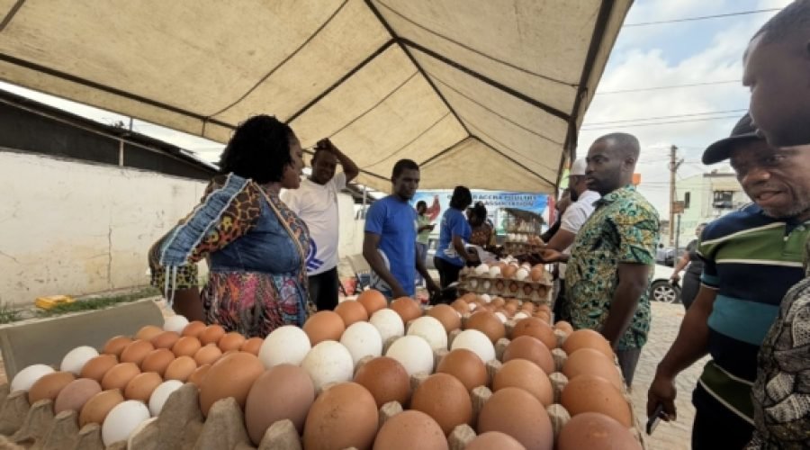 Multimedia Group's Christmas Egg Market Concludes Today