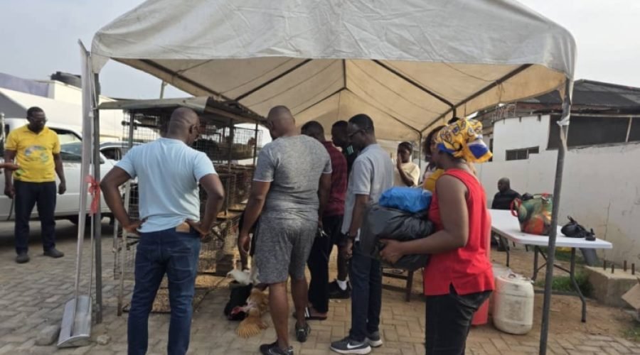 Multimedia Group's Christmas Egg Market Sells Out in Record Time