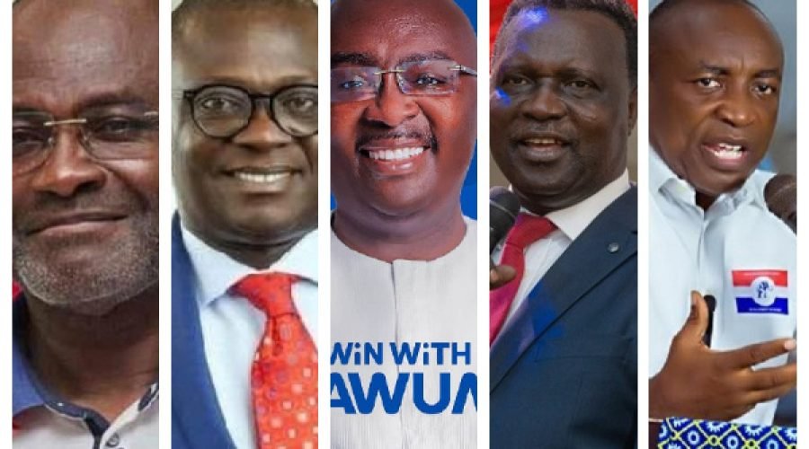 Nitiwul Calls 2028 Election Crucial for NPP Survival