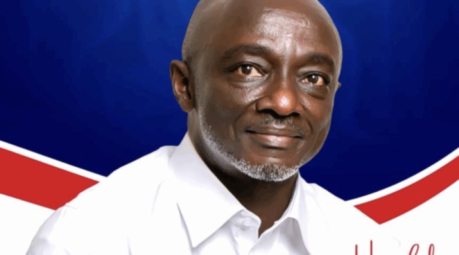 Former Envoy Advises NPP Members on Word Choice