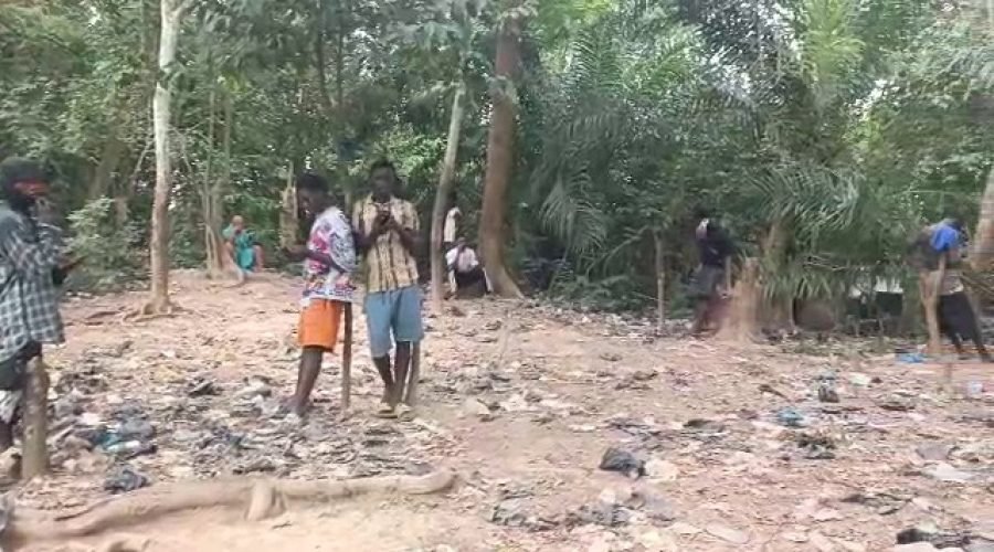 Numereso Residents Climb Mountains for Mobile Signal