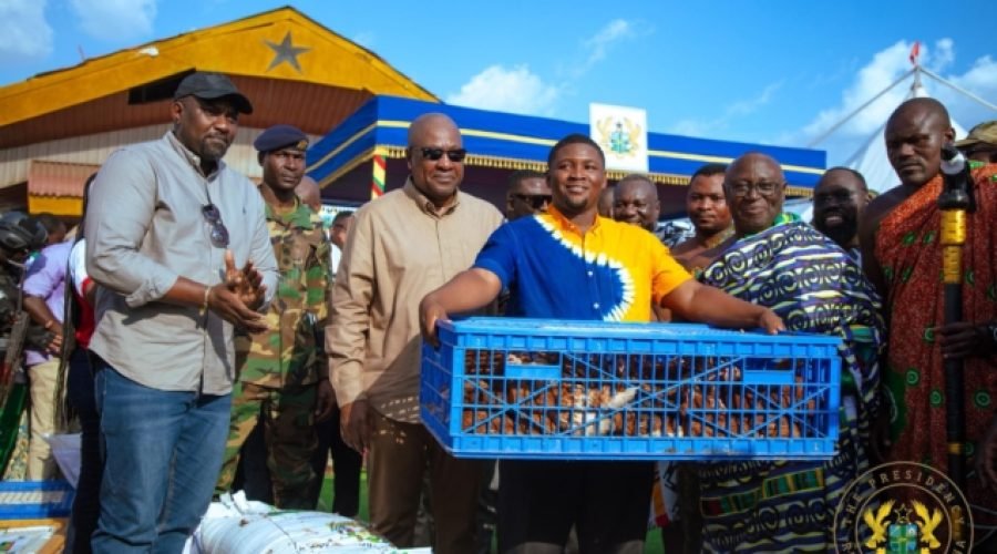 Greater Accra Poultry Farmers Left Out of Government Initiative