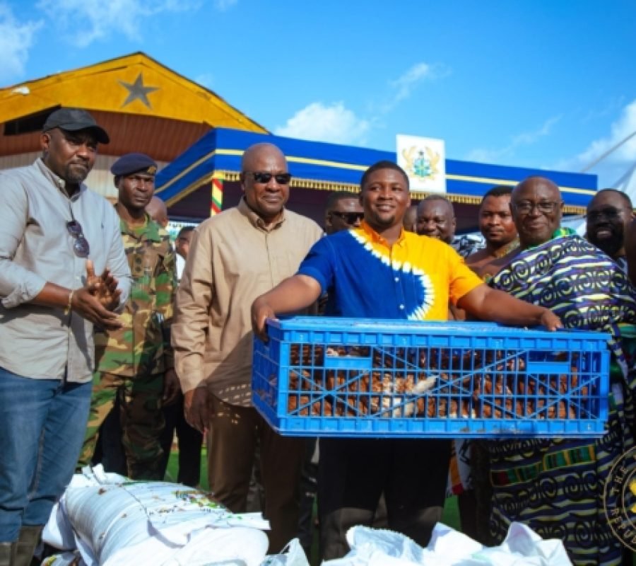 Greater Accra Poultry Farmers Left Out of Government Initiative