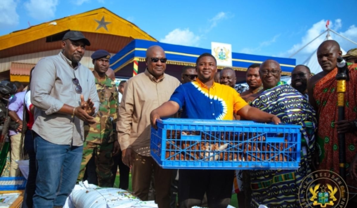 Greater Accra Poultry Farmers Left Out of Government Initiative