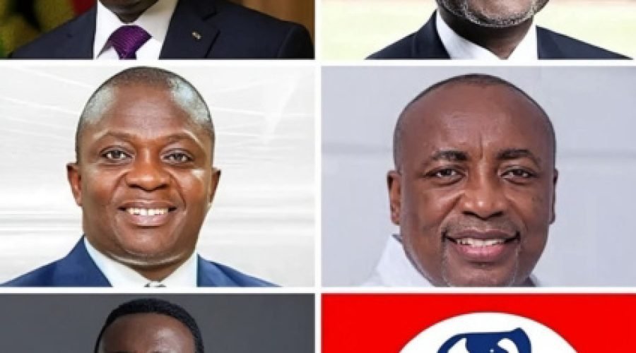 How Few Delegates Shape Decisions for Millions