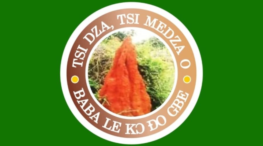 Tanyigbe Council Backs Togbega Kodi Adiko VI's Authority