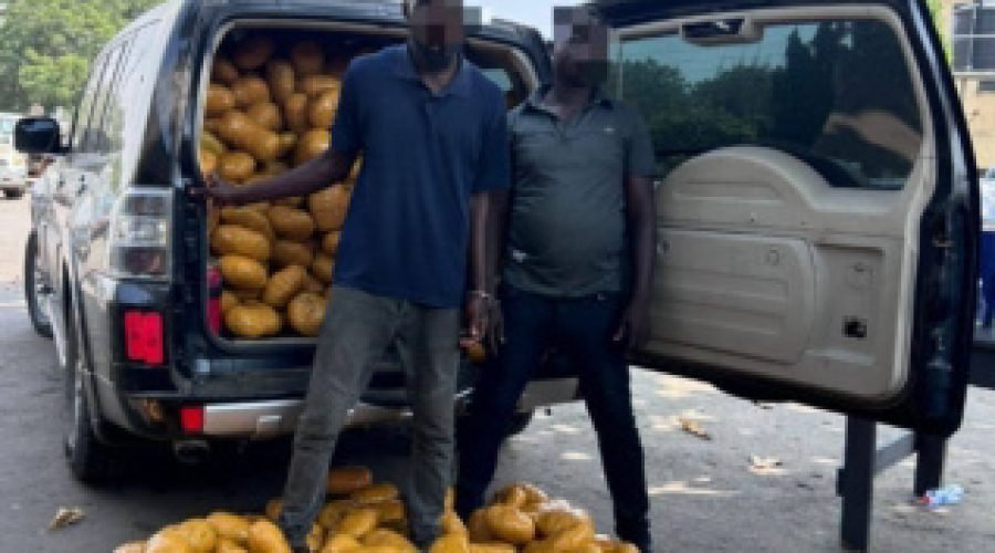 Major Drug Bust Seizes 1,600 Narcotics Parcels