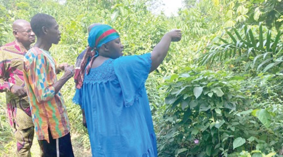 Akyem Akroso Royal Cemetery Sale Sparks Tension