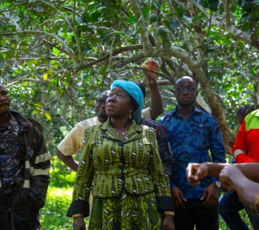 Trade Minister Backs Ekumfi Juice Factory Expansion