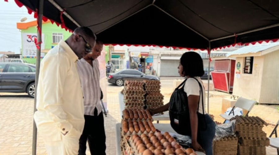 Shoppers Flock to Multimedia Group's Christmas Egg Market